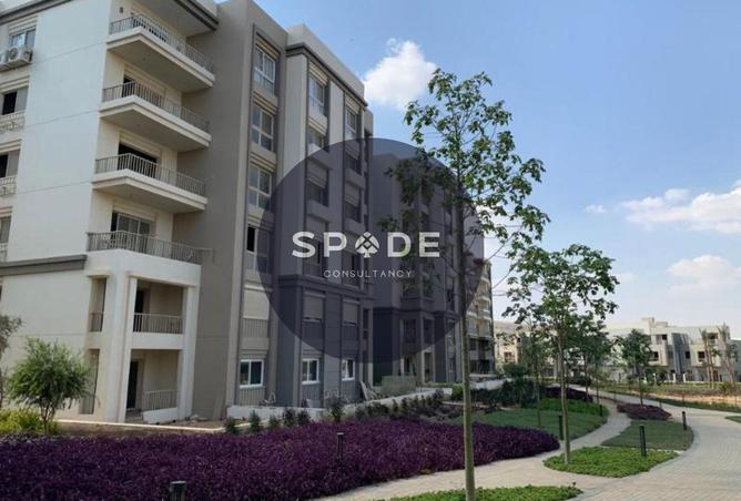 8667181 - صورة العقار 2