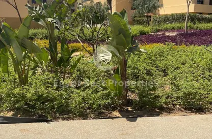 شقة - 2 غرف نوم - 2 حمامات للبيع في جاردن ليكس - كمبوندات 6 أكتوبر - مدينة 6 أكتوبر - الجيزة