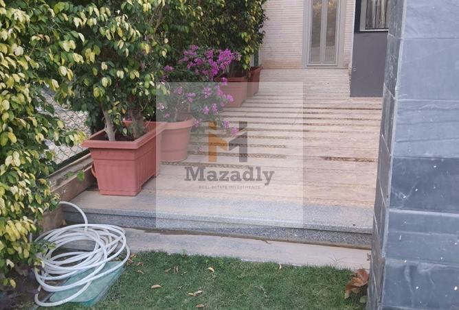 56505818 - Property Image 3