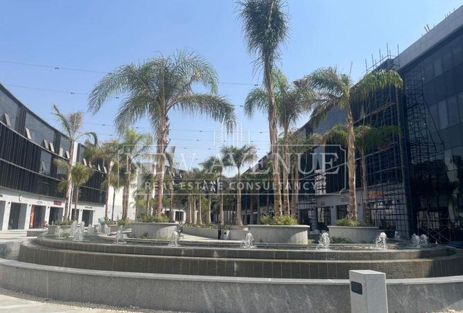 81320518 - صورة العقار 2