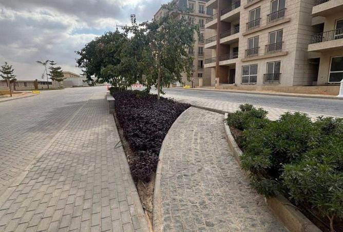 83669160 - Property Image 3