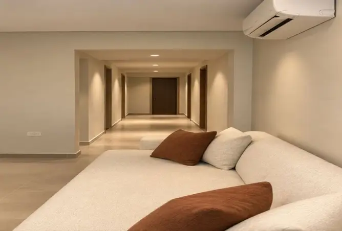 117531829 - Property Image 3