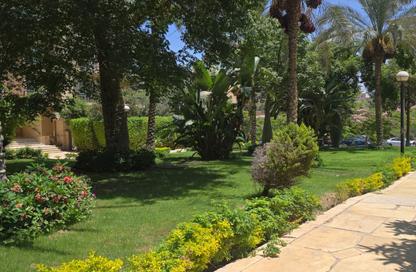 Apartment - 2 Bedrooms - 2 Bathrooms for rent in El Rehab Extension - Al Rehab - New Cairo City - Cairo