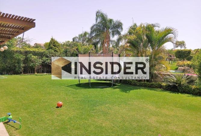 55511896 - صورة العقار 3