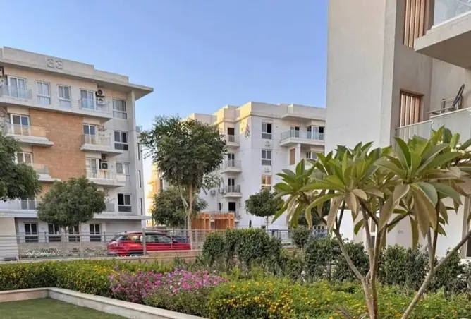 116494296 - صورة العقار 3