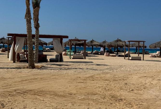 8671885 - صورة العقار 3