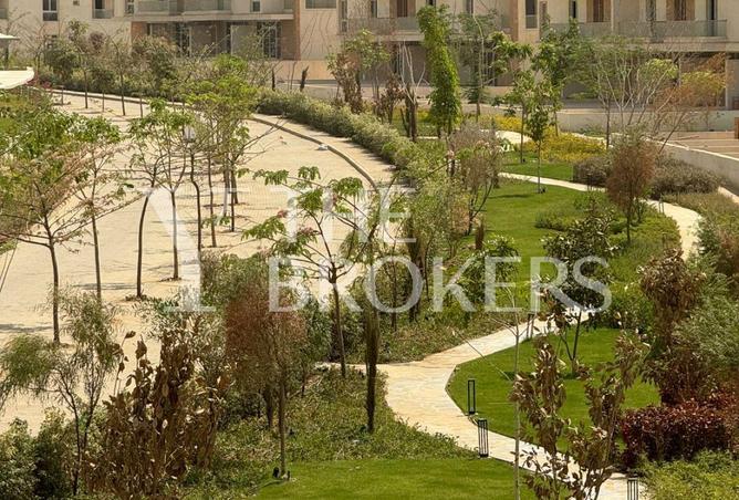 54240409 - صورة العقار 3