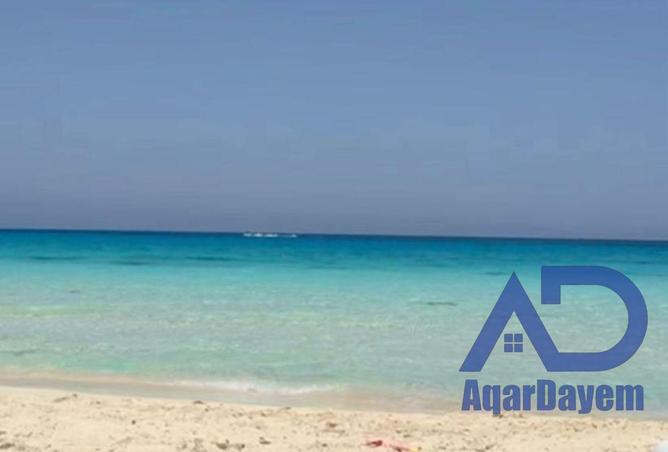 66701856 - صورة العقار 3