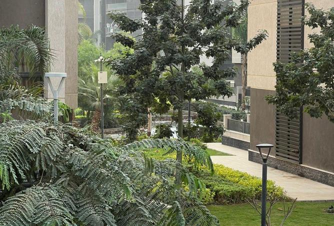 54762904 - Property Image 2