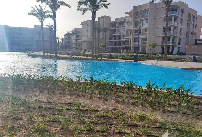 99799016 - Property Image 3