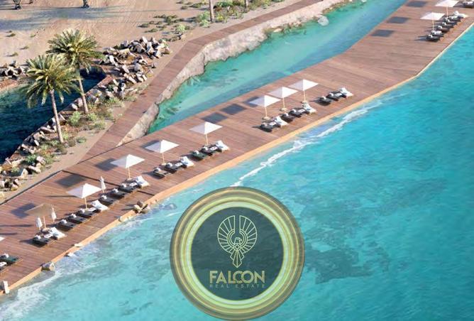 63142648 - صورة العقار 3