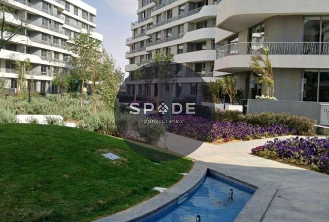 65909328 - Property Image 3