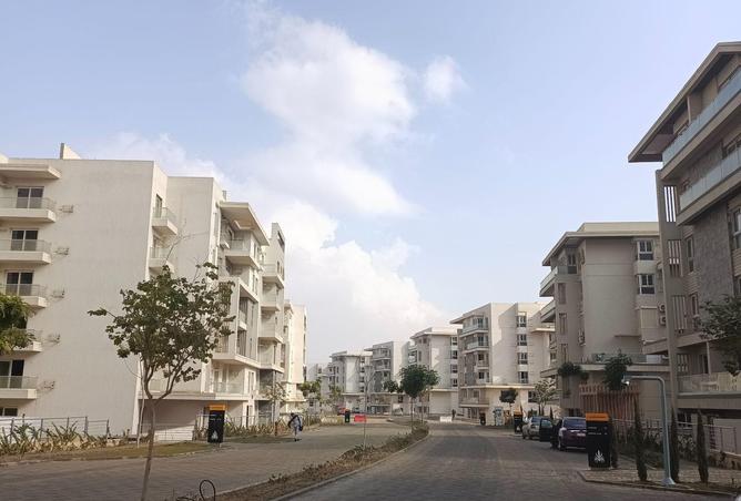 65158325 - Property Image 3