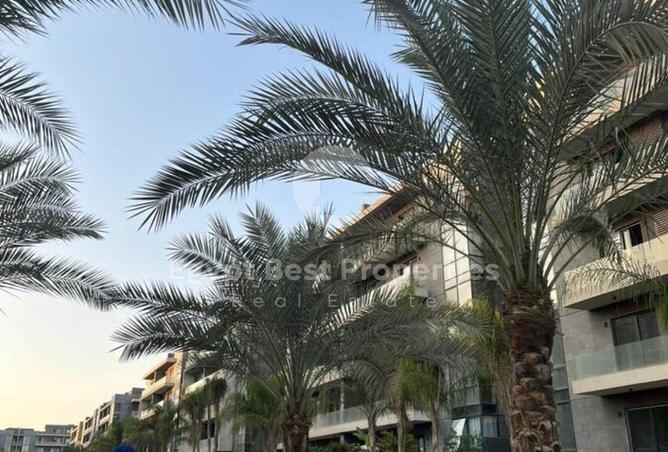 56253049 - صورة العقار 3