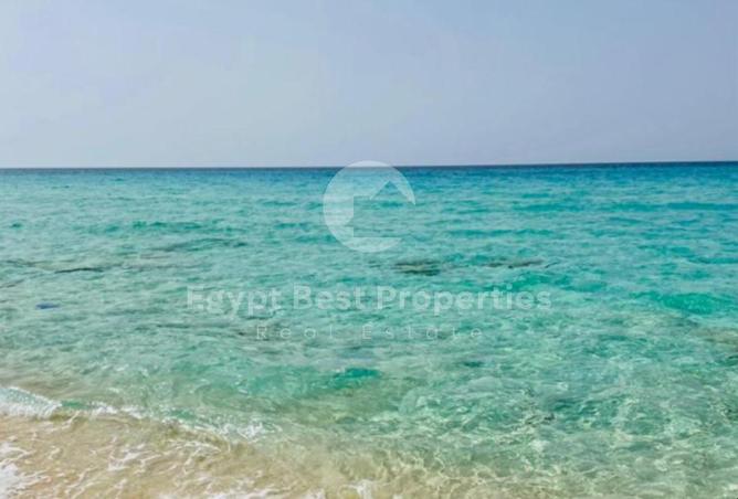 8598856 - صورة العقار 3