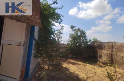 Farm - Studio for sale in Fayoum Desert road - 6 October City - Giza