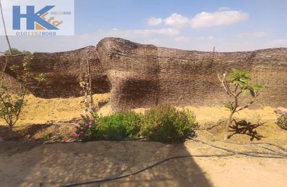 Farm - Studio for sale in Fayoum Desert road - 6 October City - Giza