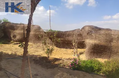 Farm - Studio for sale in Fayoum Desert road - 6 October City - Giza