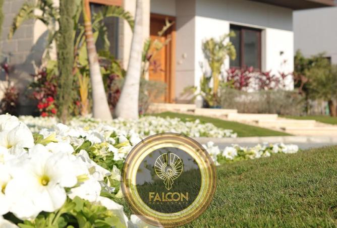 63886431 - Property Image 3