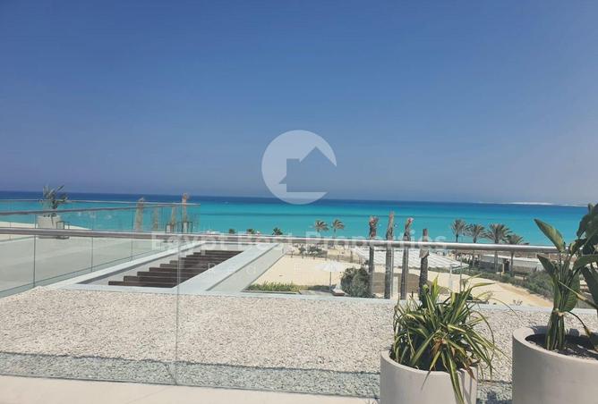 71915948 - Property Image 2