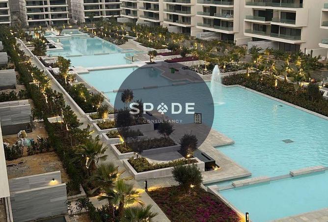 54239951 - Property Image 3