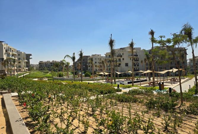 8440512 - صورة العقار 3