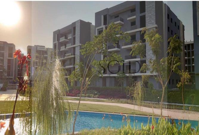 58003575 - Property Image 3