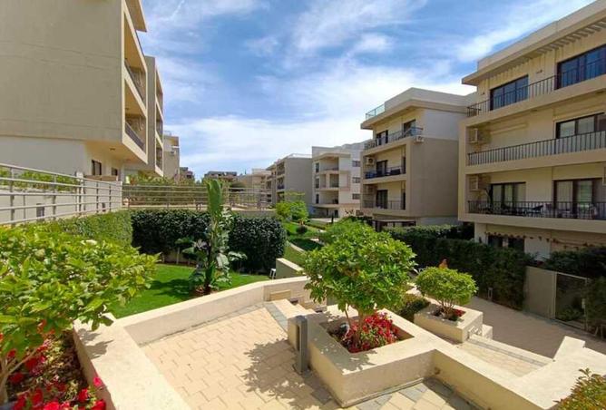 8572815 - Property Image 3