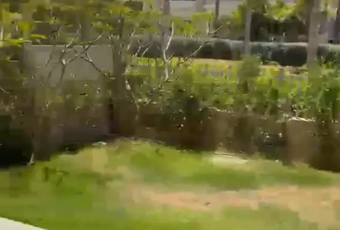 112974228 - صورة العقار 3