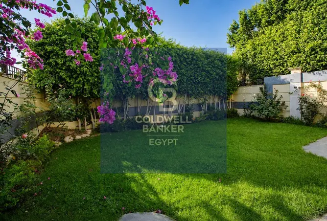 118543143 - Property Image 3