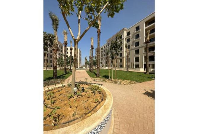 66166644 - صورة العقار 3