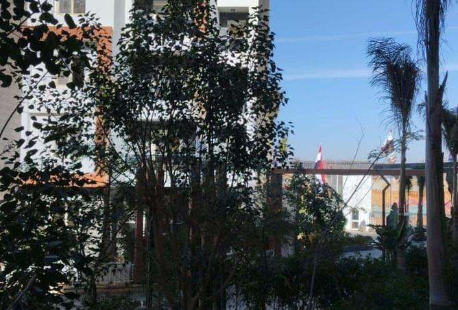 85878712 - Property Image 2
