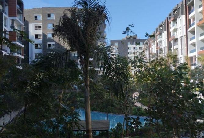 85878712 - Property Image 3