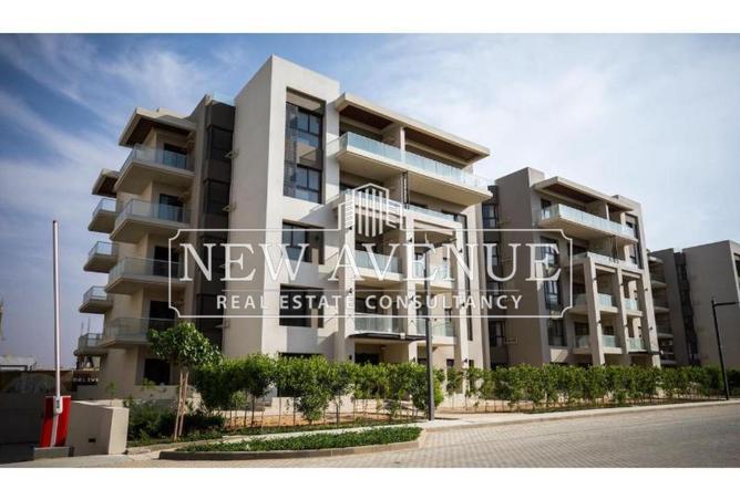 66420578 - Property Image 3