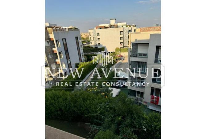 59239400 - Property Image 2