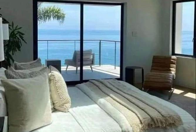 56258775 - Property Image 3