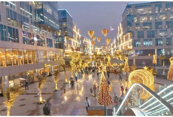 57248654 - Property Image 2