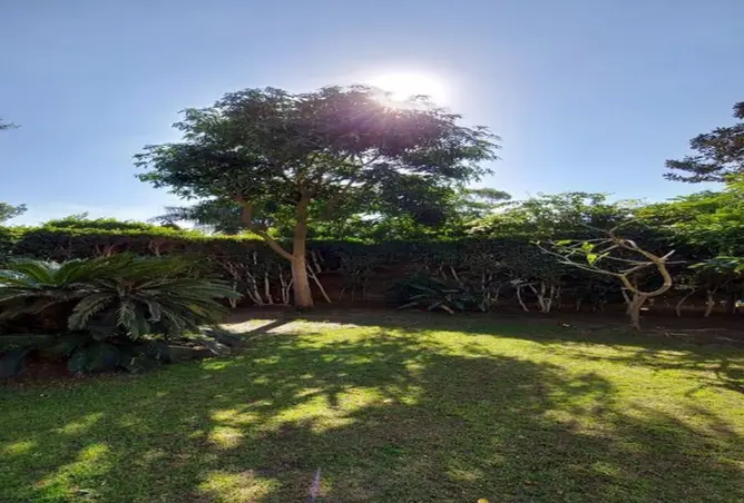 117007784 - صورة العقار 2