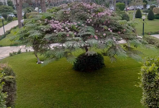 116743567 - Property Image 3