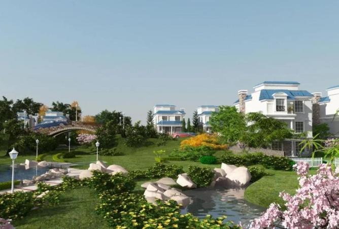 53720508 - صورة العقار 3