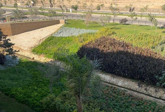 64901170 - صورة العقار 2