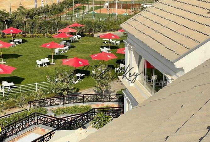 68523895 - Property Image 3