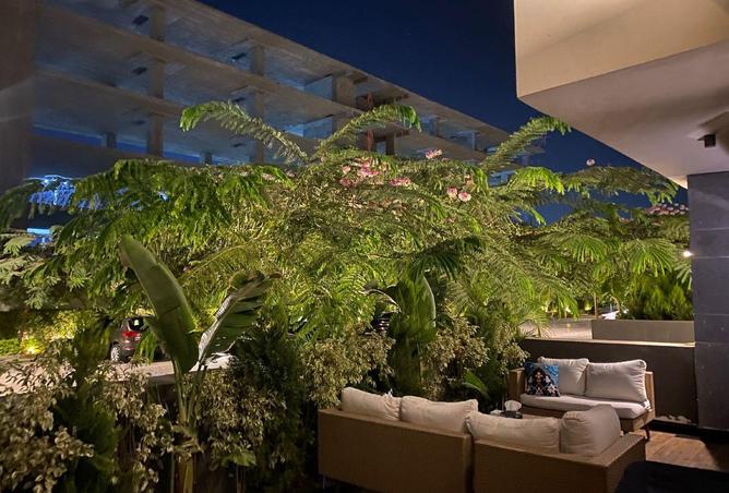 56500409 - Property Image 3