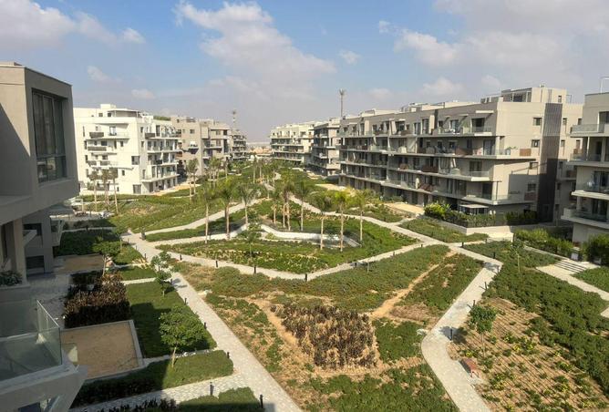 61450052 - Property Image 3