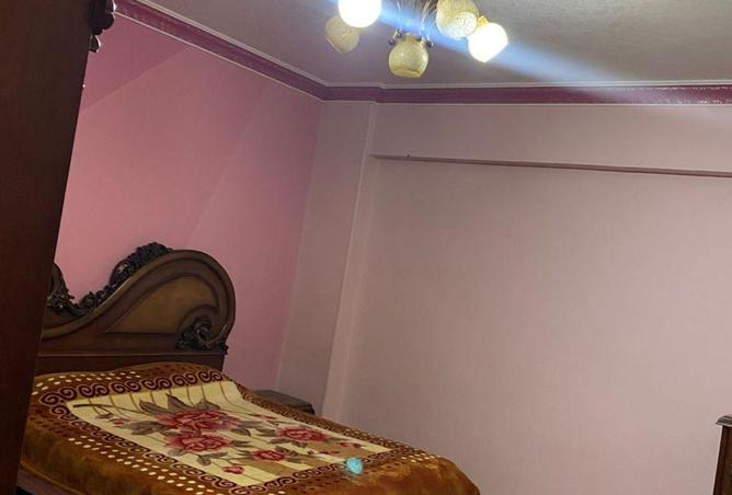 80790667 - صورة العقار 2