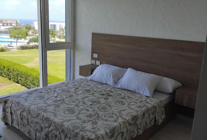 67479333 - Property Image 2