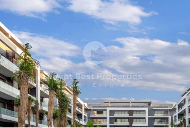 8540590 - صورة العقار 2