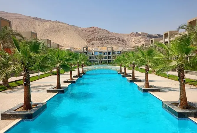 99391000 - صورة العقار 2
