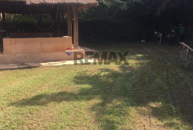 61194371 - Property Image 3