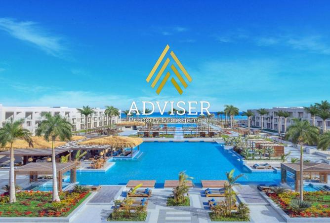 57748359 - Property Image 3